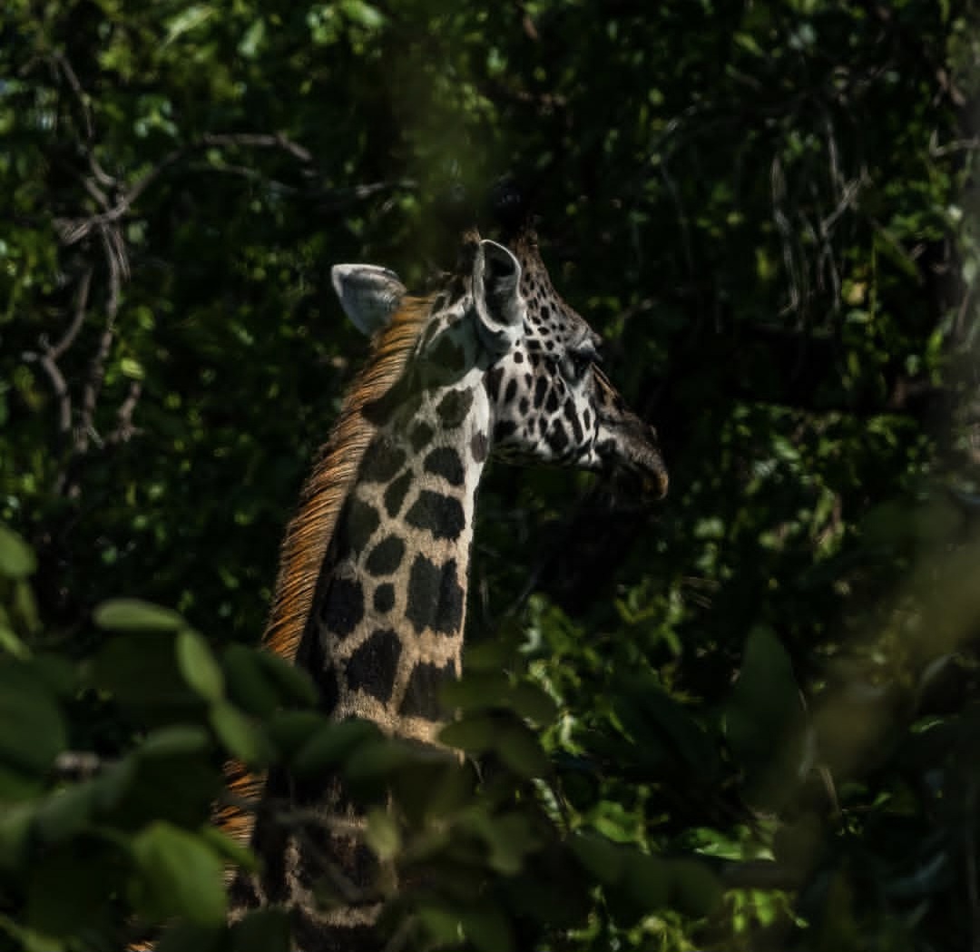 Screenshot_20251208_234411_Instagram