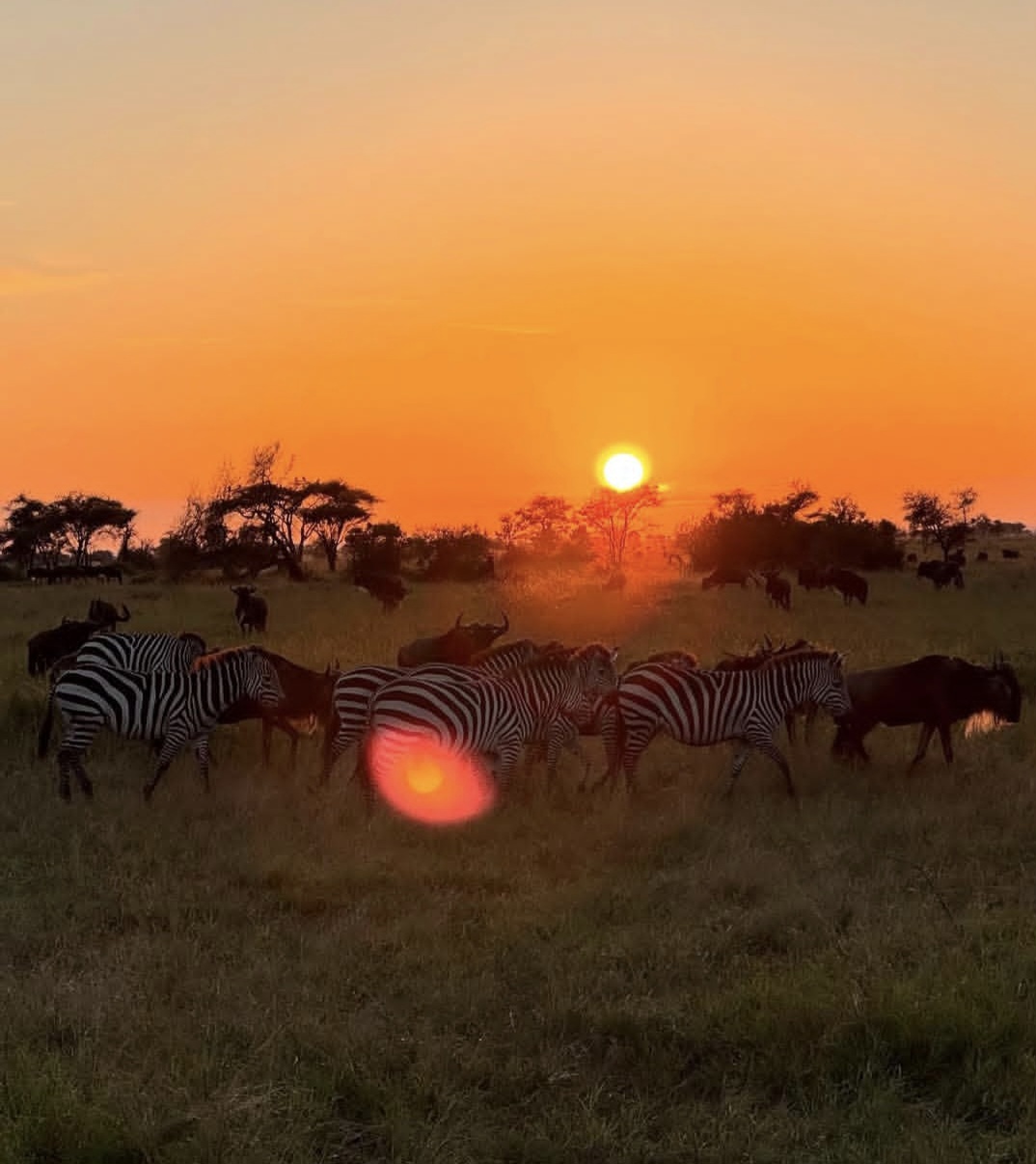 Screenshot_20251208_234659_Instagram